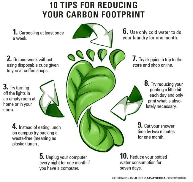 How to reduce your daily carbon footprint