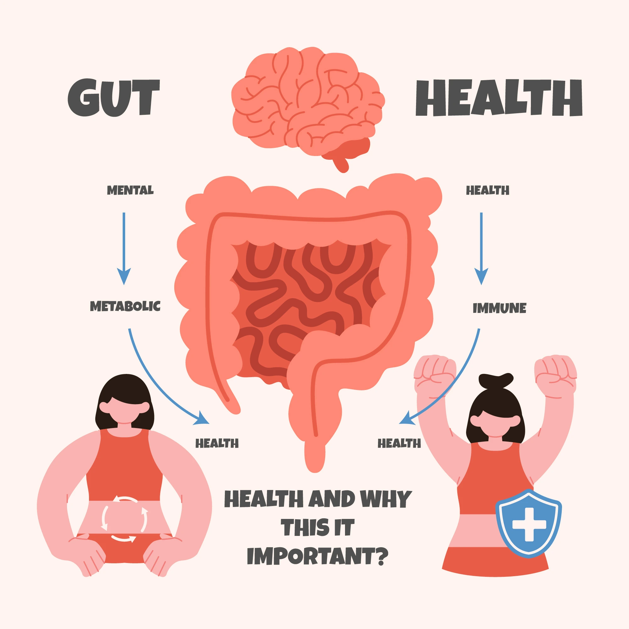 Gut health foods