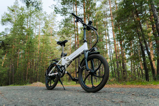 ebikes