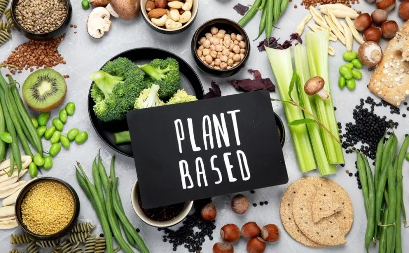 Plant Based Diet